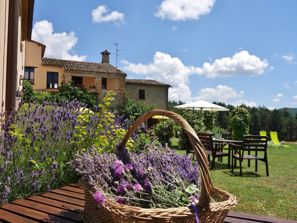 Agriturismo Monterosello Città di Castello Dış mekan fotoğraf