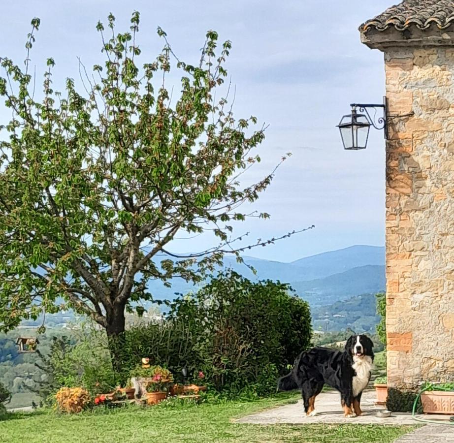 Agriturismo Monterosello Città di Castello Dış mekan fotoğraf
